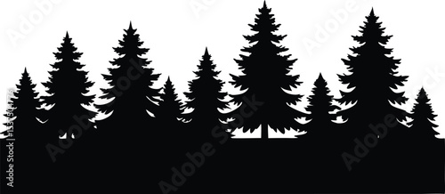 Silhouetted evergreen trees forest winter landscape
