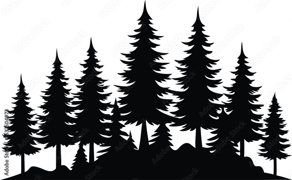 Obraz premium Majestic silhouette of evergreen trees in a forest