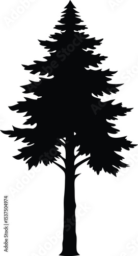 Tall evergreen tree silhouette nature graphic design element