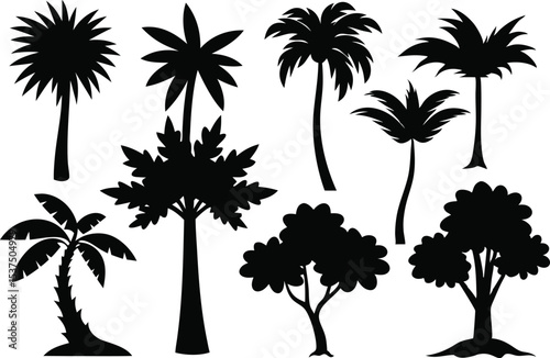 Tropical trees silhouettes palm trees jungle plants black and white