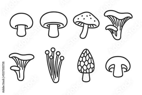Mushroom Icon Collection. Line style icons of mushrooms: button mushroom, portobello, shiitake, oyster mushroom. chanterelle,