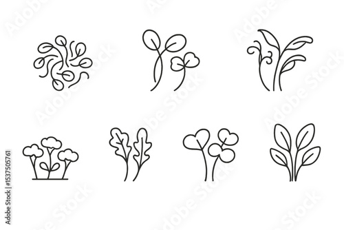 Sprouts and Microgreens Icons. Line style icons of sprouts and microgreens: alfalfa sprouts, radish sprouts, pea shoots, sunflower