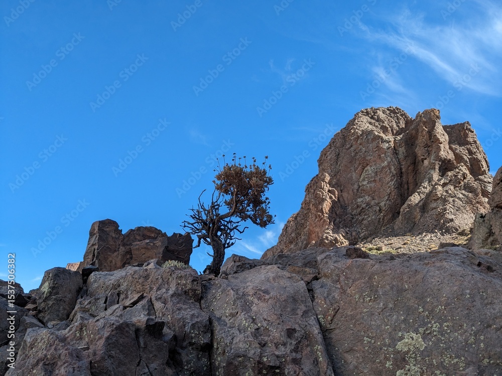 Fototapeta premium Tenerife panorama landscape,beautiful nature view mountains from hiking trips on Tenerife island, Canary Islands Spain