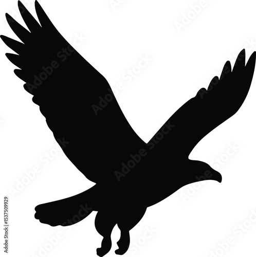 Silhouette black eagle soars vector illustration