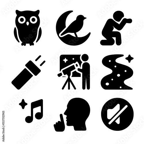 Night Birdwatching Icons. Solid style icons of night bird watching: night owl, moon with bird, nocturnal behavior, flashlight icon