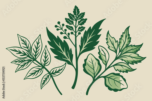 vintage-botanical-herbs-and-leaves-in-ink-sketch-s.svg