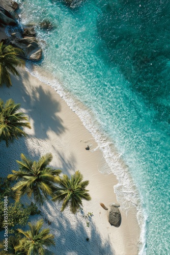 Tropical Beach With Clear Water and Palm Trees During Daylight in a Serene Co...
