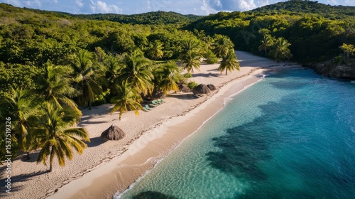 Serenity on a Tropical Beach With Palm Trees and Clear Blue Water During Dayl...