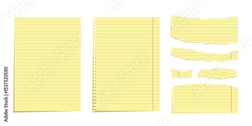Set of yellow legal pad paper sheets and torn note pieces. Lined notebook pages with spiral holes and red margins and ripped fragments. Office stationery templates. Realistic vector illustration.