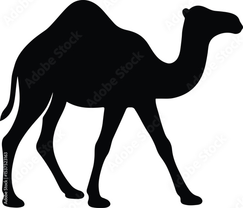 Silhouette camel walking in black and white vector illustration