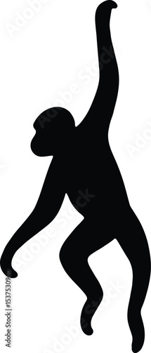 Silhouette Gibbon monkey hanging black and white vector illustration