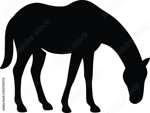Silhouette grazing horse equine mammal isolated vector illustration