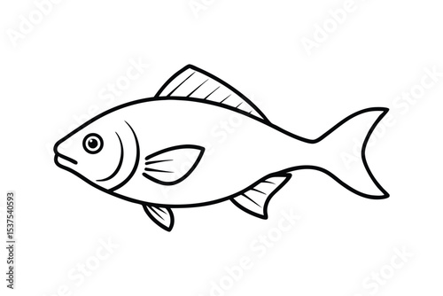 Bream fish swimming elegantly in clear freshwater streams Line Art Vector illustration