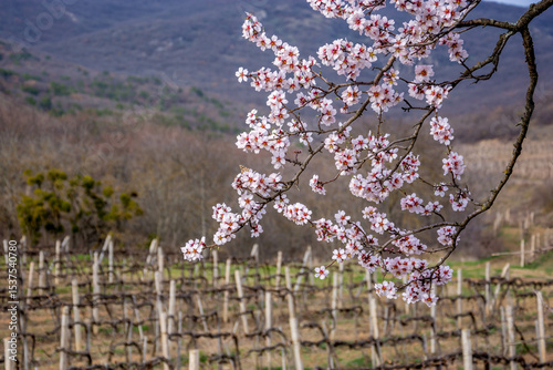 Spring landscape