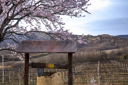 Spring landscape
