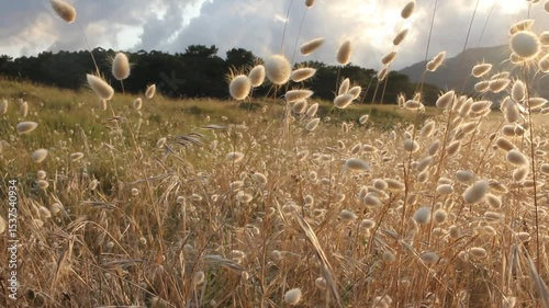 the color of sunset near Morouzos beach in Ortigueira, Spain weeks befor Celtic World Fest