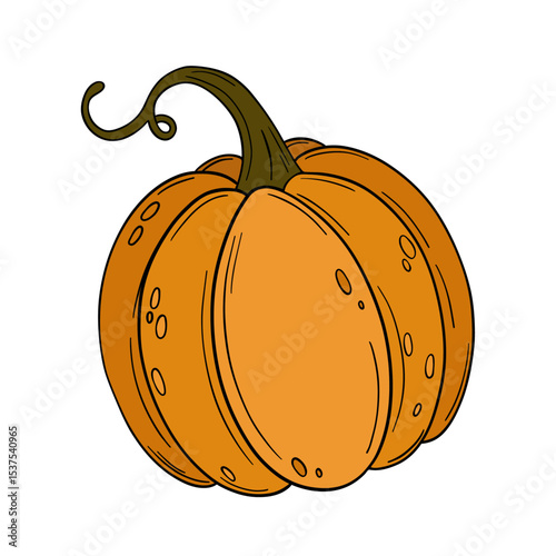 Orange pumpkin agriculture vegetable. Halloween and thanksgiving autumn occasions. October festival decoration. Element collection line art hand drawn