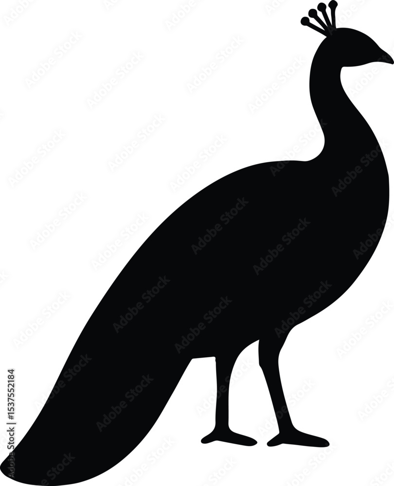 Fototapeta premium Silhouette peacock standing elegant bird vector illustration