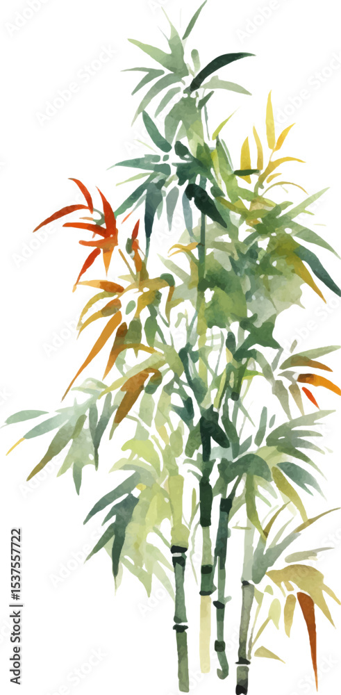 Fototapeta premium Vector watercolor painted bamboo. Hand drawn flower design elements isolated on white background.