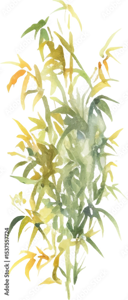 Obraz premium Vector watercolor painted bamboo. Hand drawn flower design elements isolated on white background.