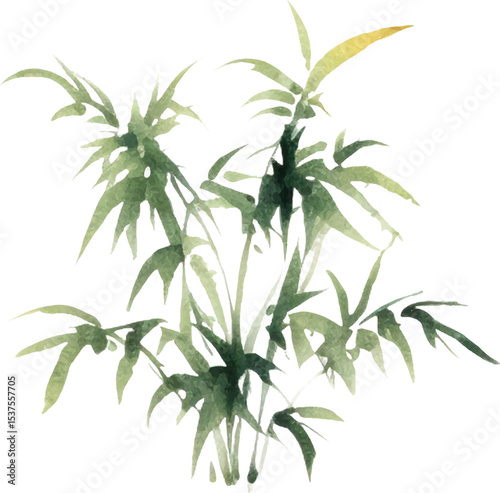 Vector watercolor painted bamboo. Hand drawn flower design elements isolated on white background.