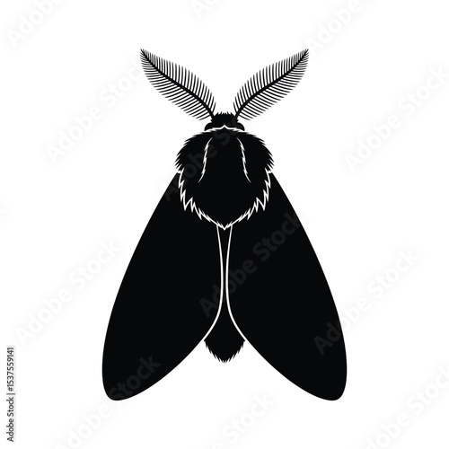 Detailed Black Moth Silhouette Vector EPS for Nature, Nocturnal, and Insect Designs