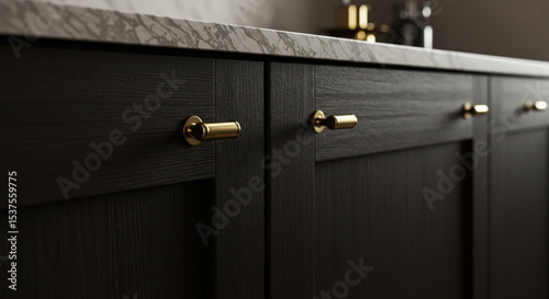Dark Wood Cabinetry Golden Handles Design Kitchen Renovation Modern Luxury Home Interior Design