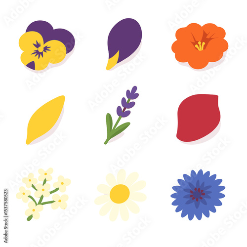 Edible Flower Icons. Isometric Flat icon set of Edible flower garnishes: pansy blossom, viola petal, nasturtium flower, marigold