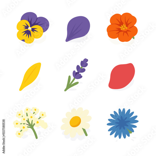 Edible Flower Icons. Isometric Flat icon set of Edible flower garnishes: pansy blossom, viola petal, nasturtium flower, marigold
