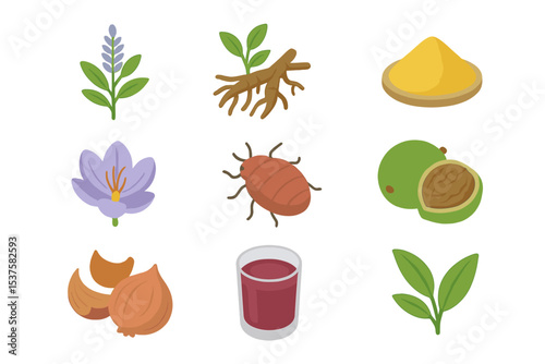 Natural Dye Icon Set. Isometric Flat icon set of natural dye sources: indigo plant, madder root, turmeric powder, saffron flower,