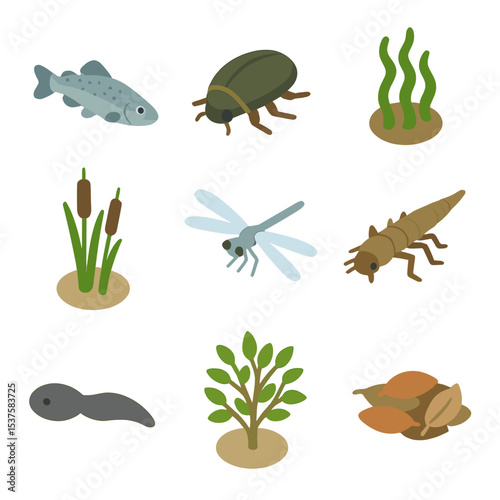 Spring Water Ecosystem Icons. Isometric Flat icon set of Spring Water Ecosystem: freshwater fish, water beetle, algae patch, marsh