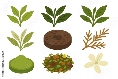 Tea Varieties Icons. Isometric Flat icon set of Tea Leaf Varieties: green tea leaves, black tea leaves, oolong tea leaves, white