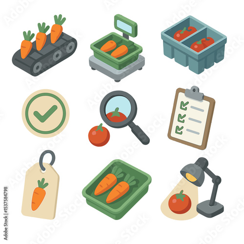 Vegetable Grading Icons. Isometric Flat icon set of vegetable sorting and grading: conveyor belt, scale, sorting bins, quality