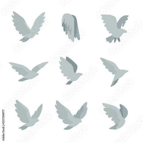 Wing Pose Icon Set. Isometric Flat icon set of Wing Flight Poses: open wings, folded wings, fluttering mid-flap, gliding pose,