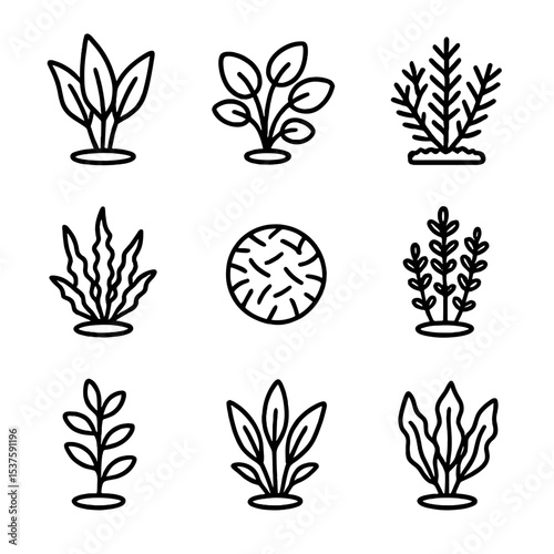 Aquarium Plant Icons. Outline icon set of aquarium plant decorations: amazon sword, anubias, java moss, java fern, moss ball,