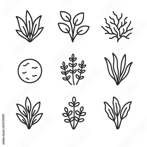 Aquarium Plant Icons. Outline icon set of aquarium plant decorations: amazon sword, anubias, java moss, java fern, moss ball,
