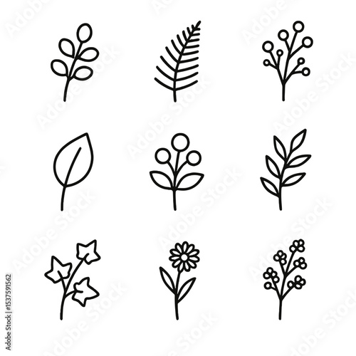 Botanical Icon Set. Outline icon set of greenery and filler: eucalyptus sprig, fern frond, baby’s breath, salal branch,
