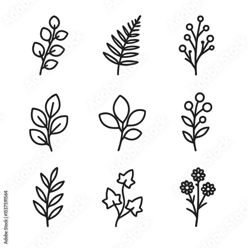Botanical Icon Set. Outline icon set of greenery and filler: eucalyptus sprig, fern frond, baby’s breath, salal branch,