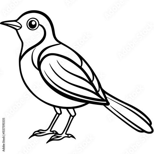 Minimal Oriental White-eye Illustration