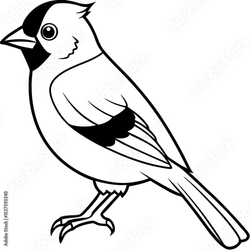 Minimal Oriental White-eye Illustration