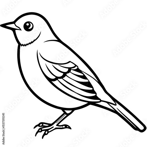 Minimal Oriental White-eye Illustration