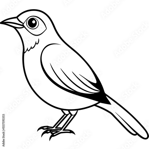 Minimal Oriental White-eye Illustration