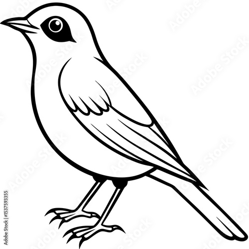 Minimal Oriental White-eye Illustration