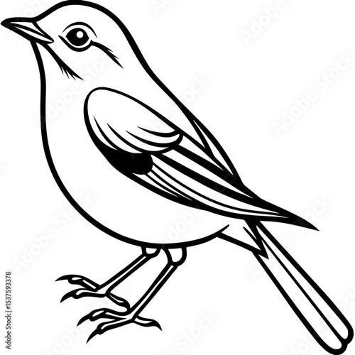 Minimal Oriental White-eye Illustration