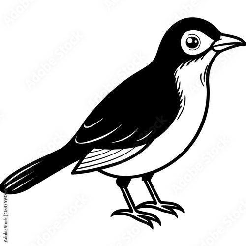Minimal Oriental White-eye Illustration
