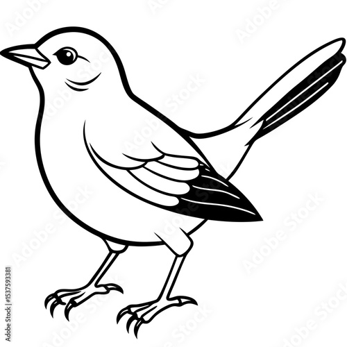 Minimal Oriental White-eye Illustration