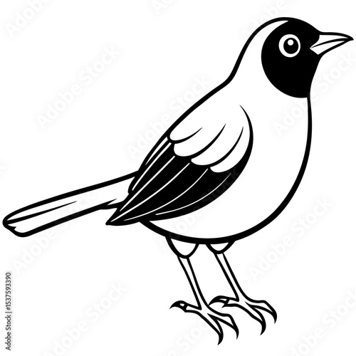 Minimal Oriental White-eye Illustration