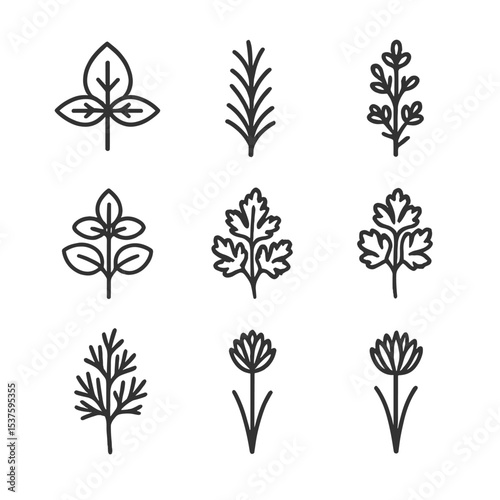 Herb Icon Grid. Outline icon set of garden herb collection: basil leaf, rosemary twig, thyme branch, oregano sprig, sage leaf,