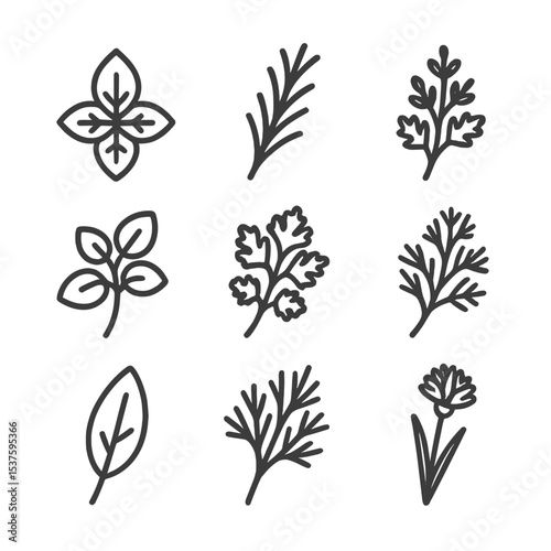 Herb Icon Grid. Outline icon set of garden herb collection: basil leaf, rosemary twig, thyme branch, oregano sprig, sage leaf,