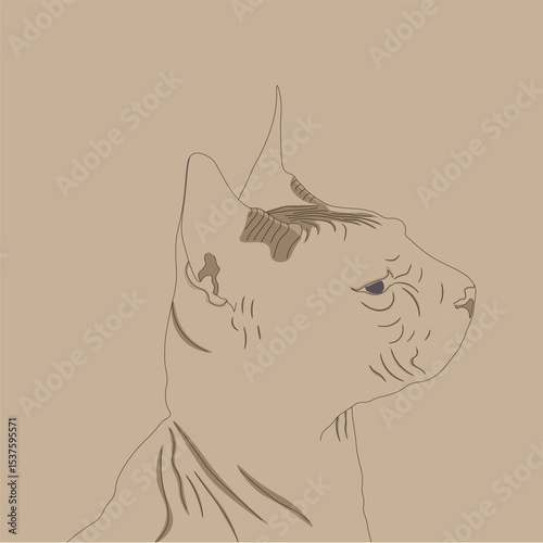 A silhouette of a domestic Sphinx cat on a beige background. Vector illustration.